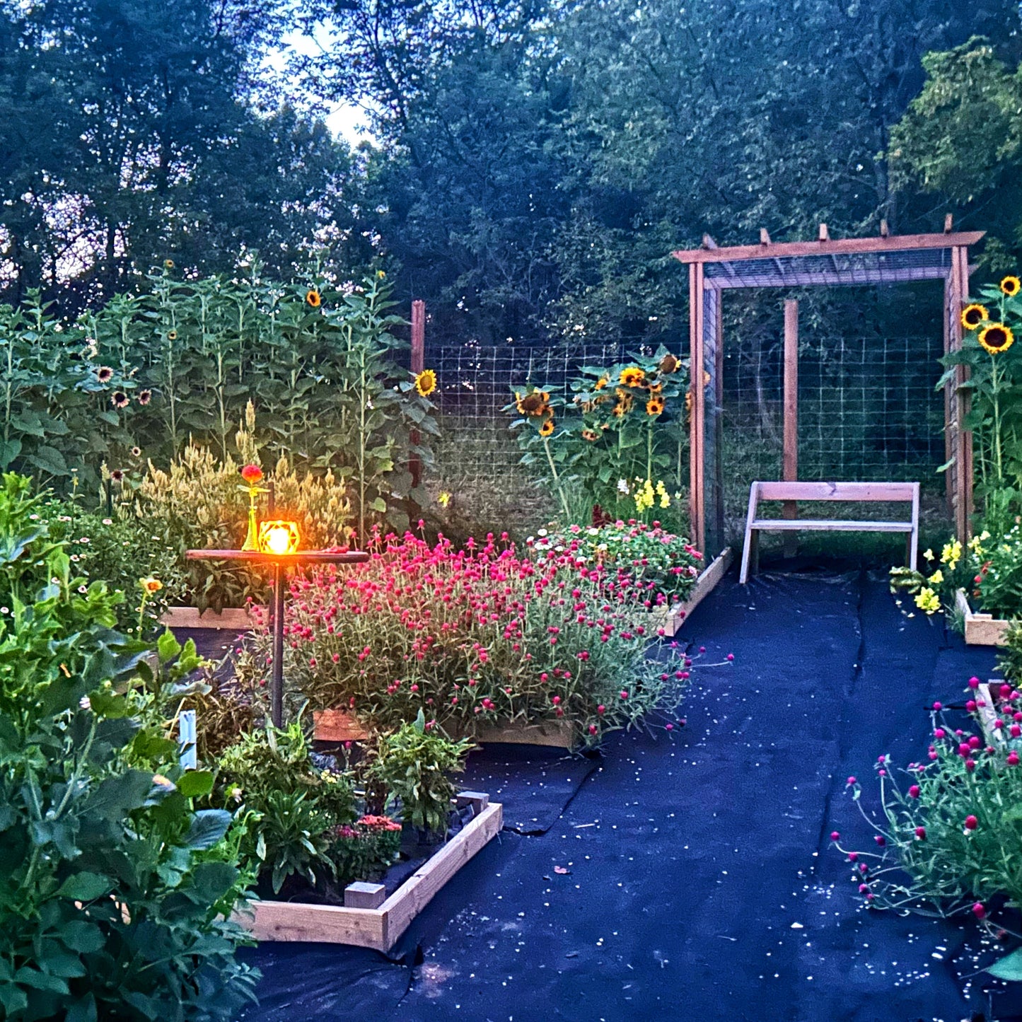 Happy Hour in The Flower Patch - Wednesday, August 6th, 2025