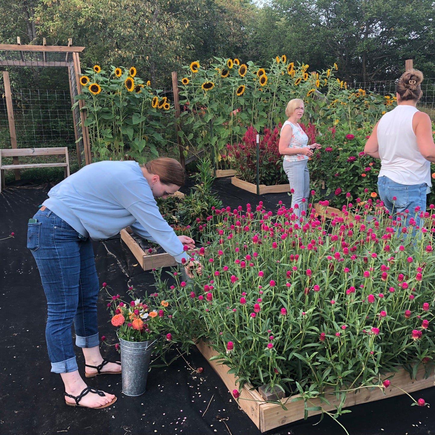 Happy Hour in The Flower Patch - Wednesday, September 10th, 2025