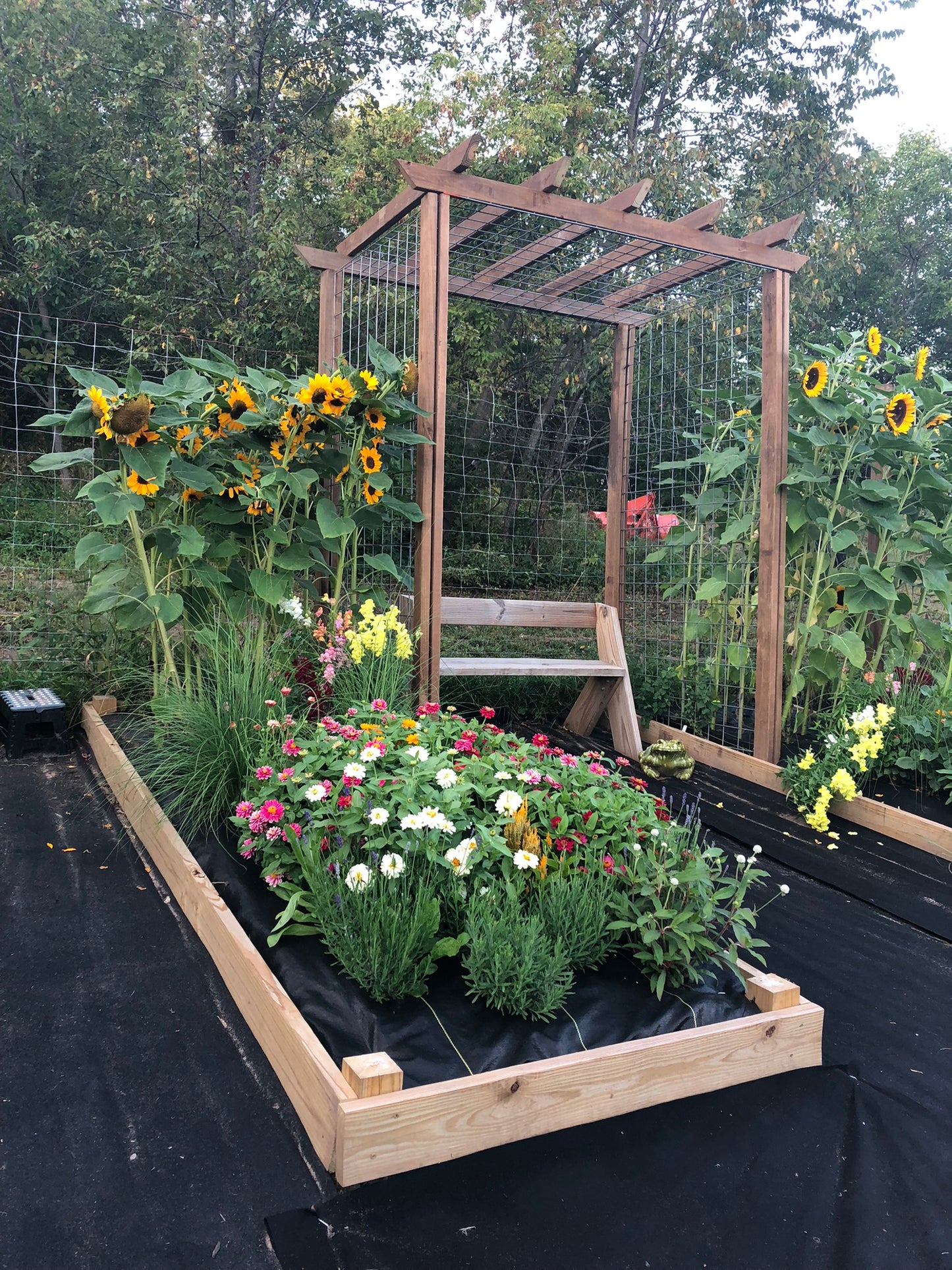 Saturday, September 12th, 2026: Bouquets & Coffee in The Flower Patch