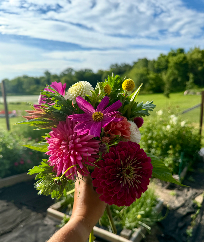 The Flower Patch: 2027 Summer Bouquet Subscription