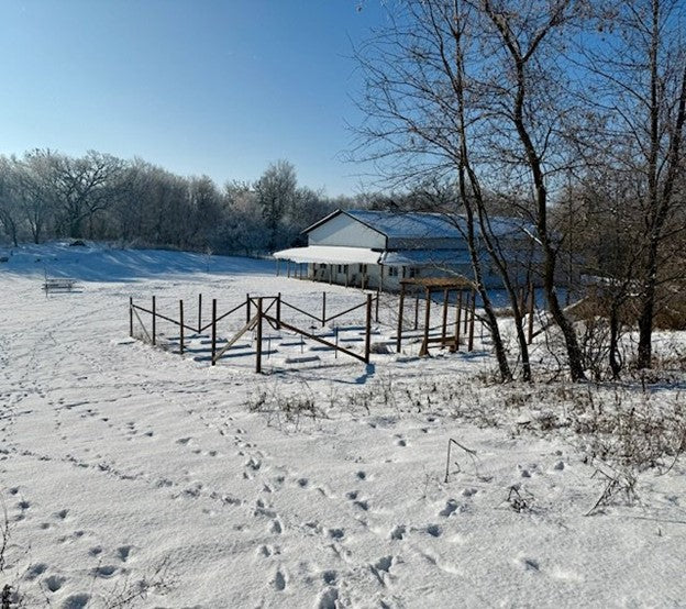 Designing Joy: From Sketch to Sanctuary