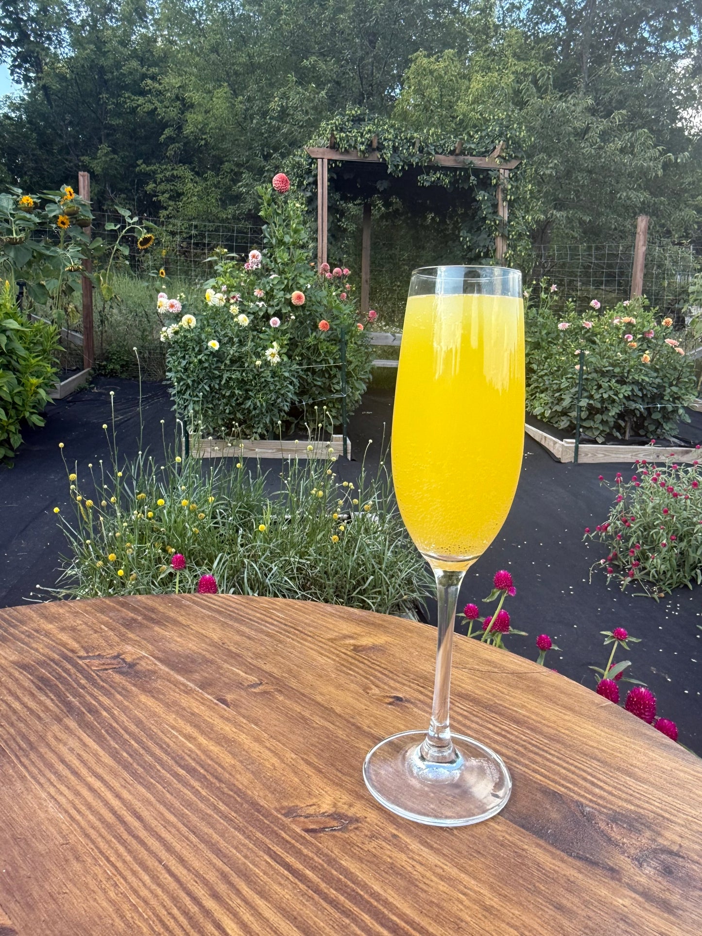 Saturday, August 29th, 2026: Bouquets & Coffee in The Flower Patch