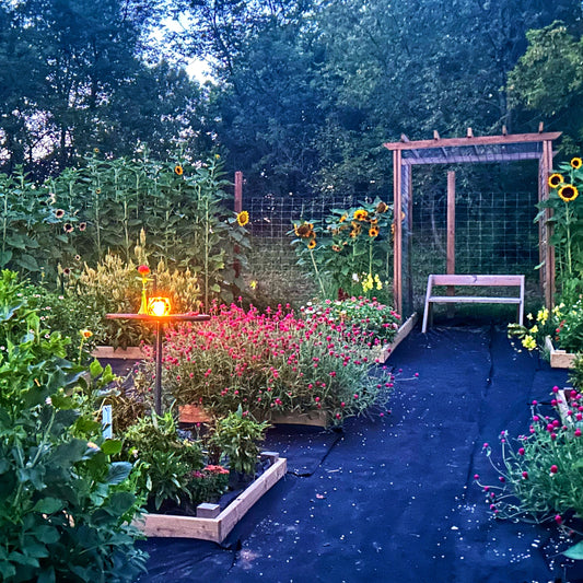 Wednesday, September 16th, 2026: Golden Hour in The Flower Patch