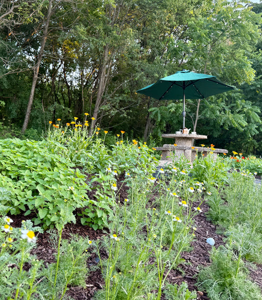 Saturday, August 15th, 2026: Bouquets & Coffee in The Flower Patch