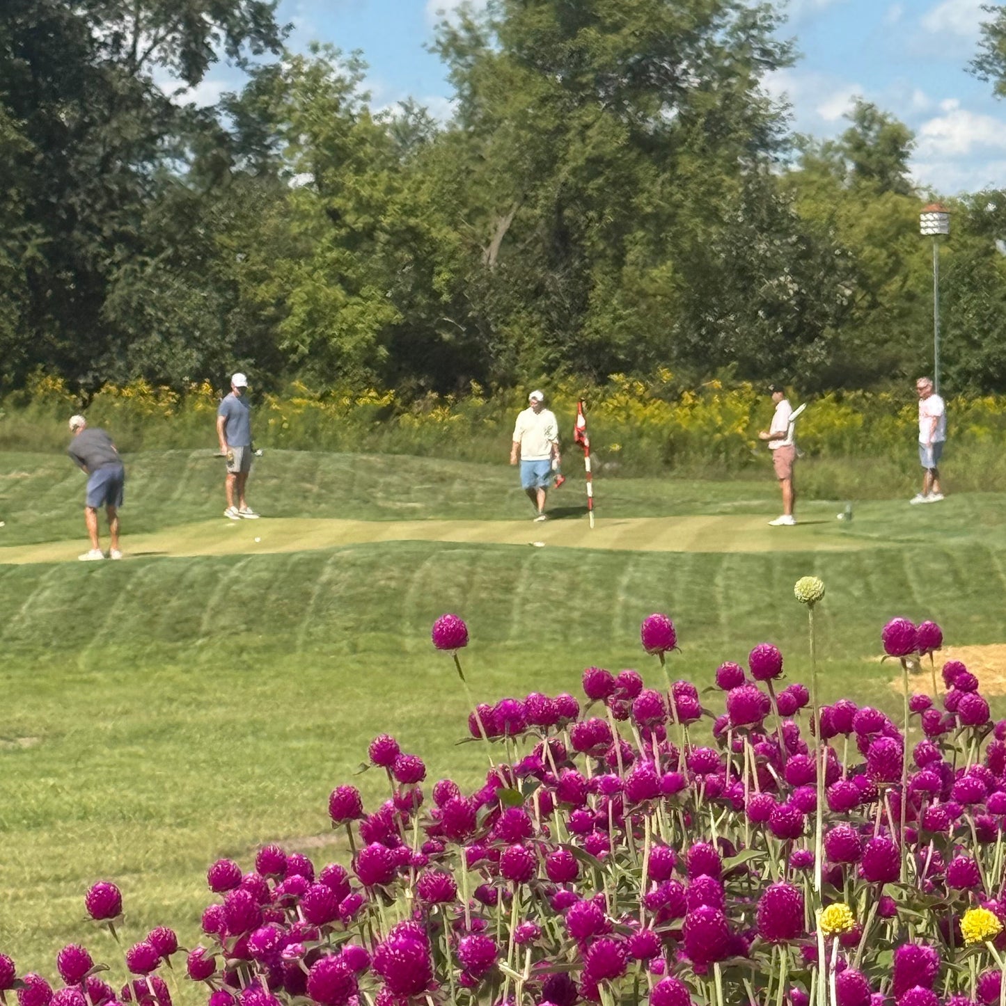 Club Championship Entry