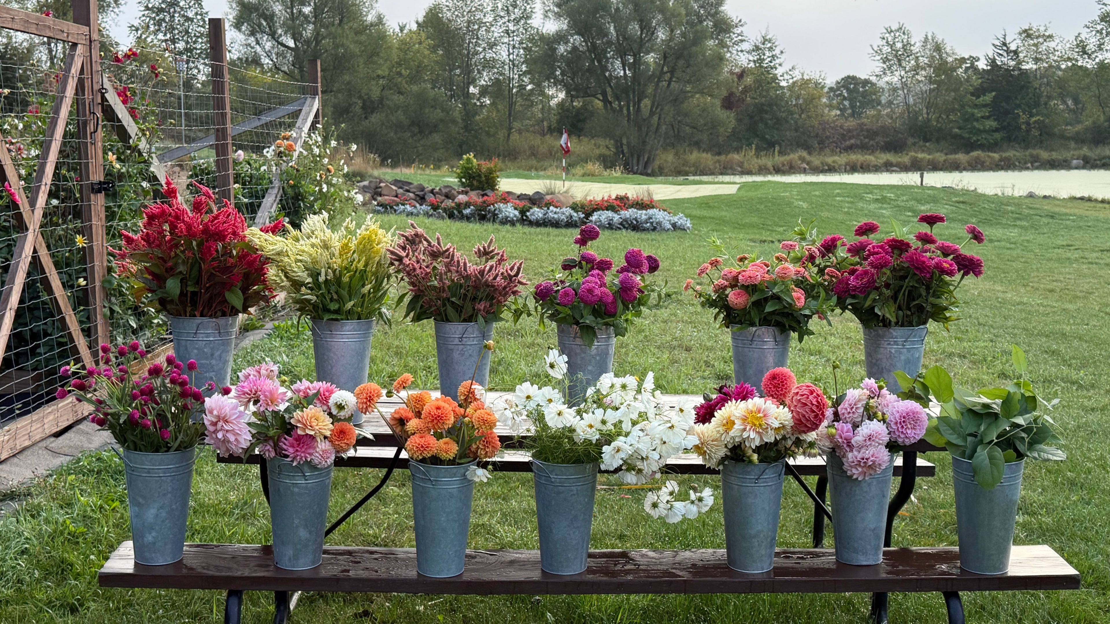 A rustic wooden bench outdoors on a grassy field displays multiple galvanized metal buckets filled with colorful flower bouquets, including pink, red, orange, white, and green plants, with trees and a pond in the background.